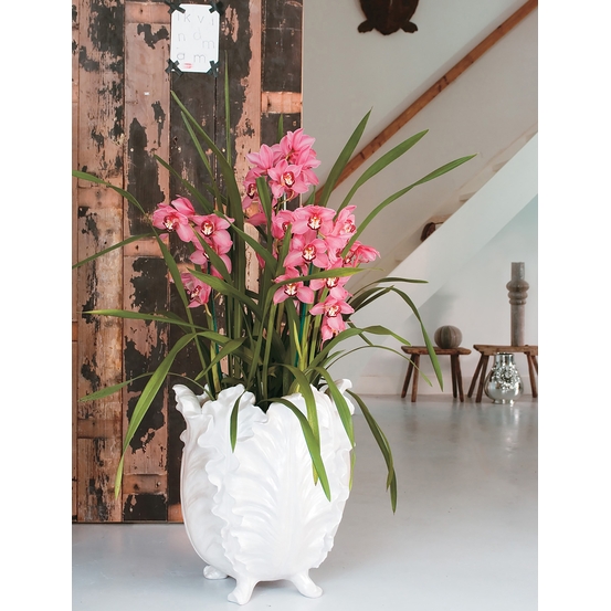 Orchidée CYMBIDIUM RED BEAUTY ROY 3 TIGES D12 H50