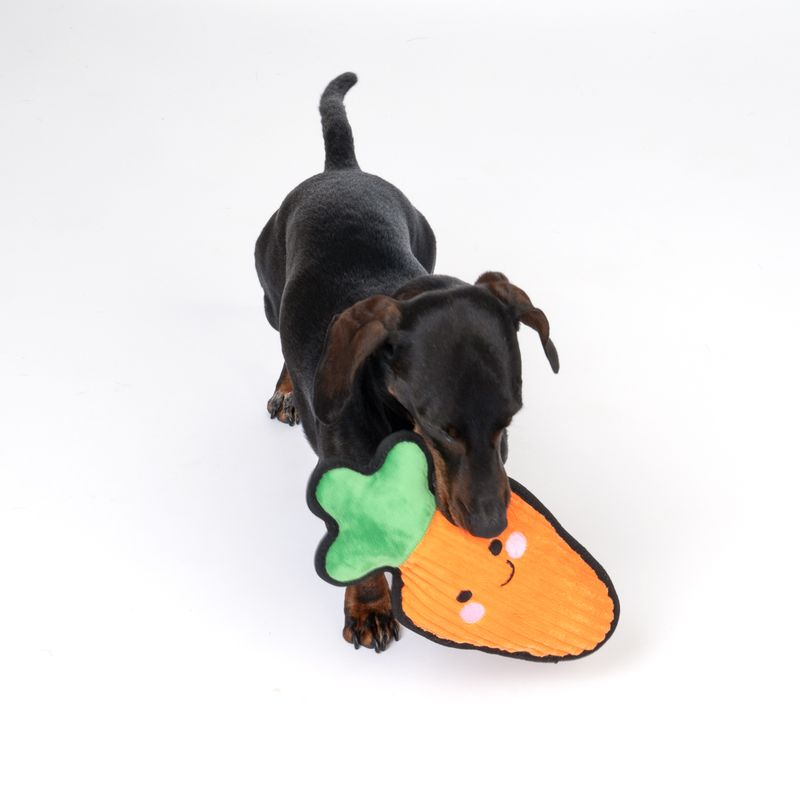 Jouet TIAKI Happy Carrot
