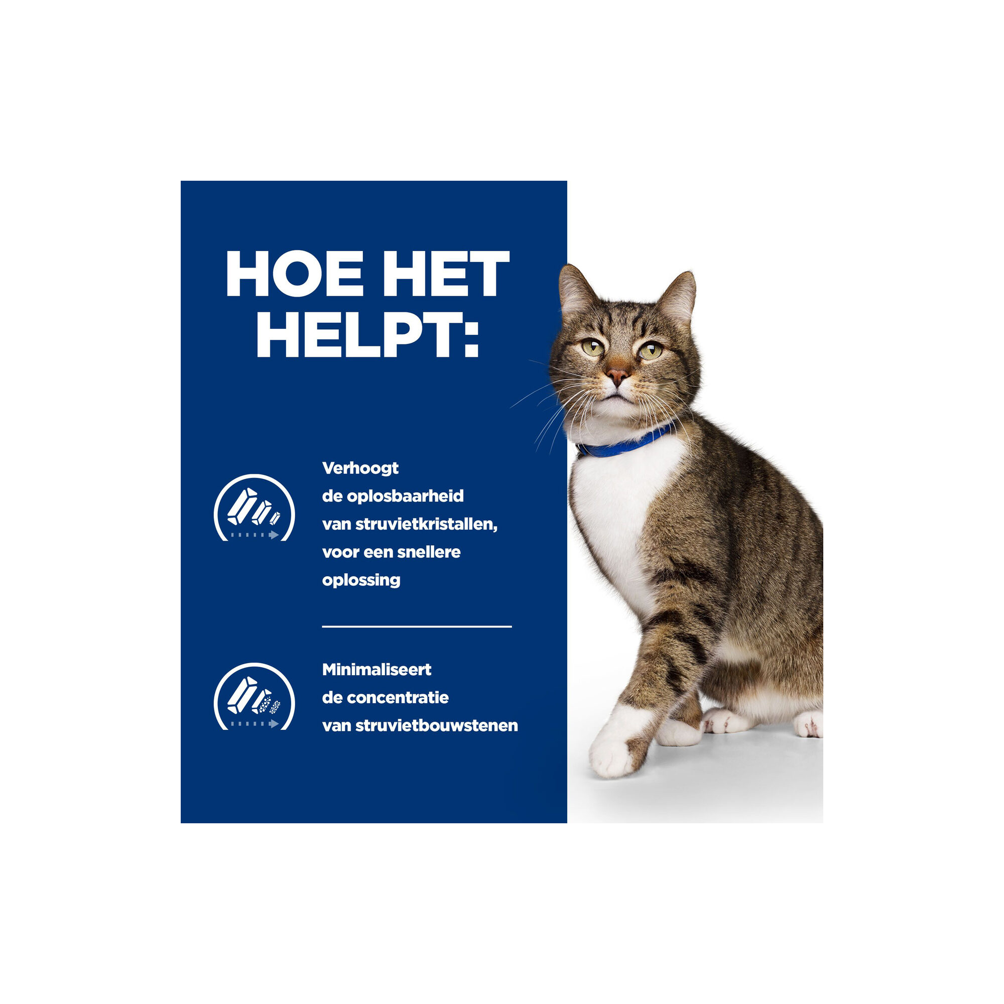 Hill's s/d Urinary Care - Prescription Diet - Feline - Natvoer