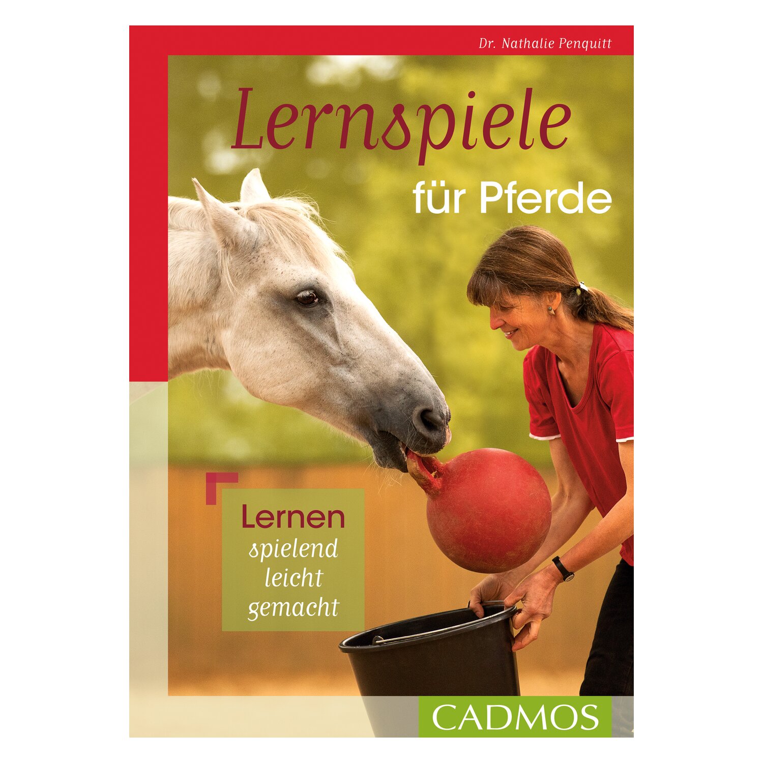 Lernspiele für Pferde