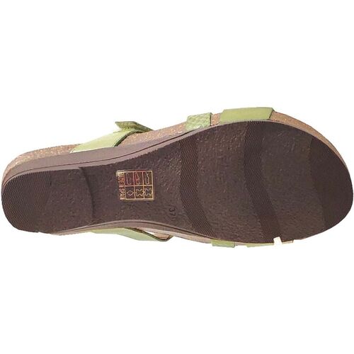 Xapatan - 1846 Verde