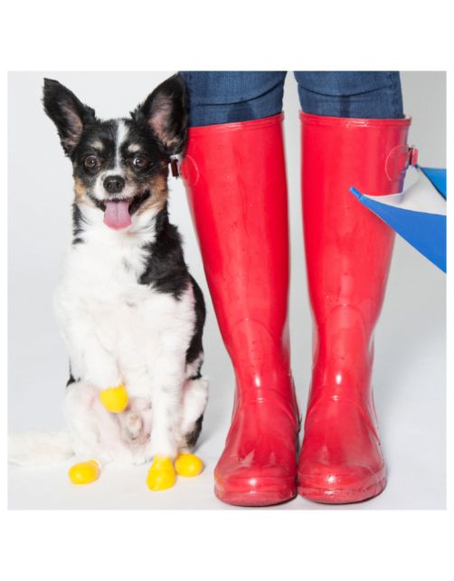 Pawz Rubber Dog Boots - Hondenschoen - Geel Xx-Small