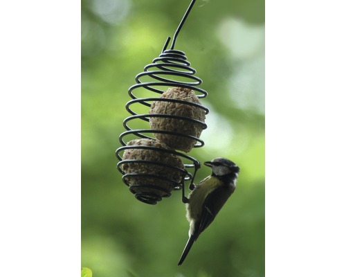 Vetbolhouder in spiraalvorm 7,5x26,5 cm groen