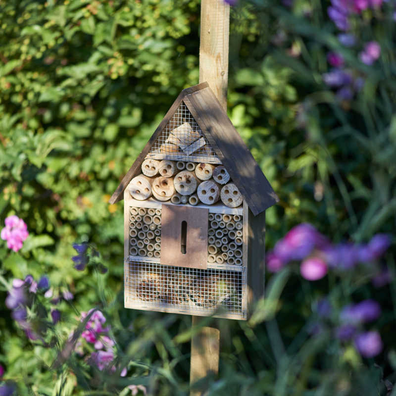 Insekthotell