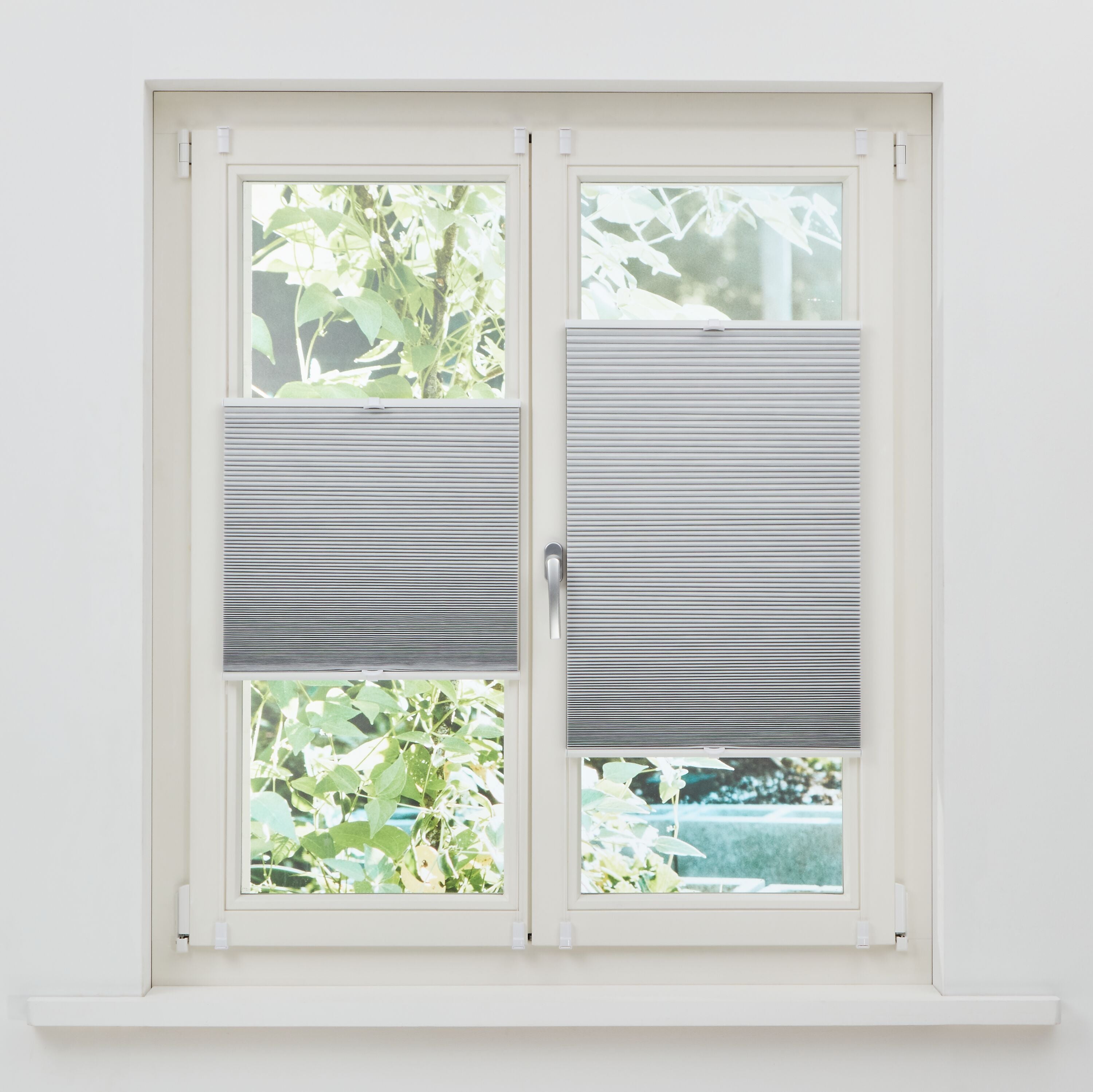 BLACKOUT Wabenplissee - Weiss / B: 50.0 cm x H: 140.0 cm