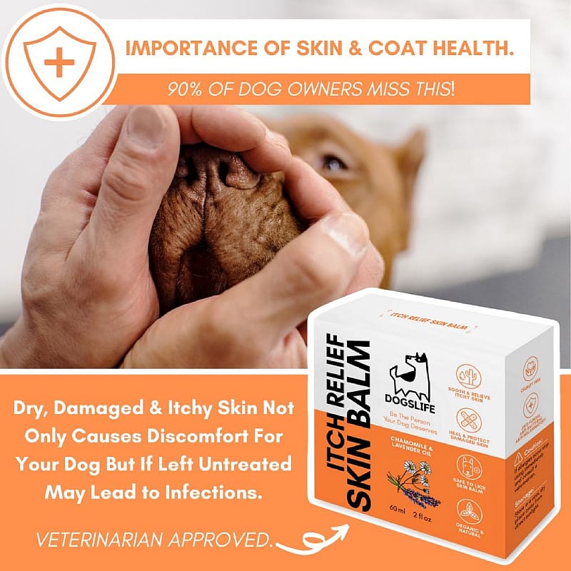DogsLife Itch Relief Skin Balm Hond 60 ml | 13000
