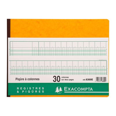 Exacompta - Piqûre comptable - 30 colonnes sur 2 pages - 25 x 32 cm - 80 pages