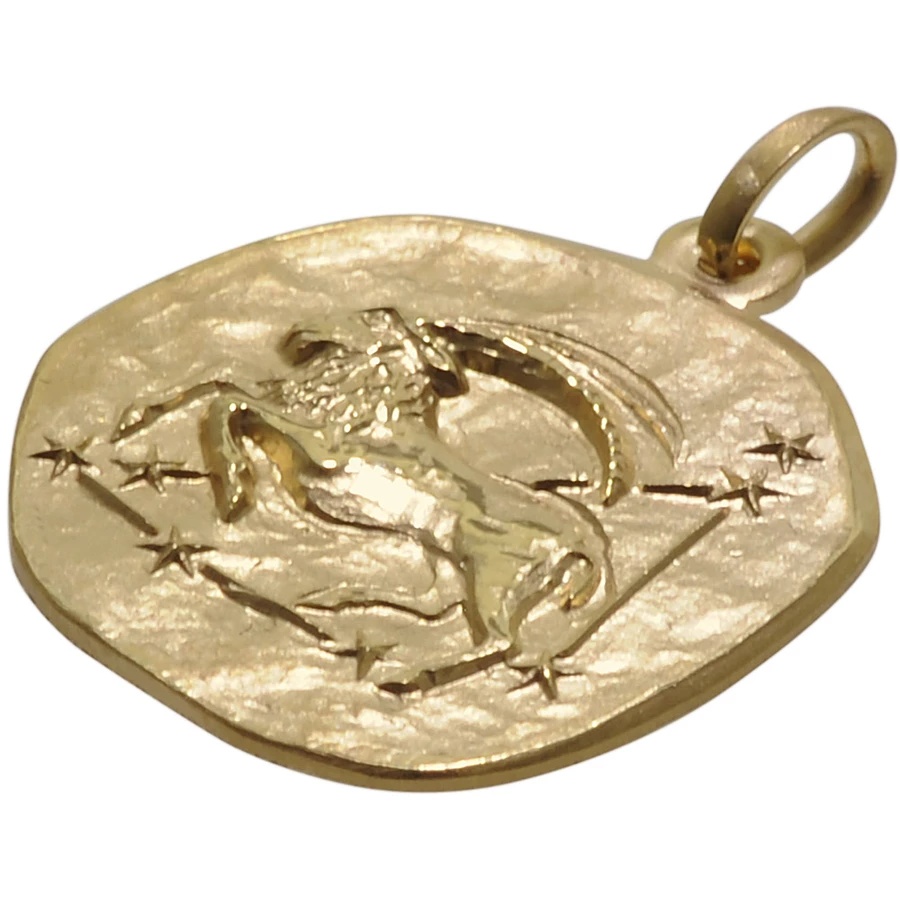 trendor Sternzeichen für Kinder Steinbock Gold 333 Anhänger + Kette gold