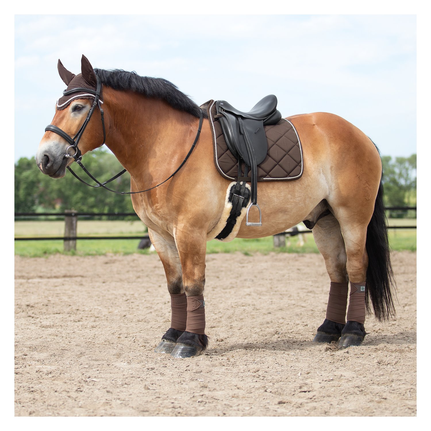Horse-friends Schabracke Verona XL - grey