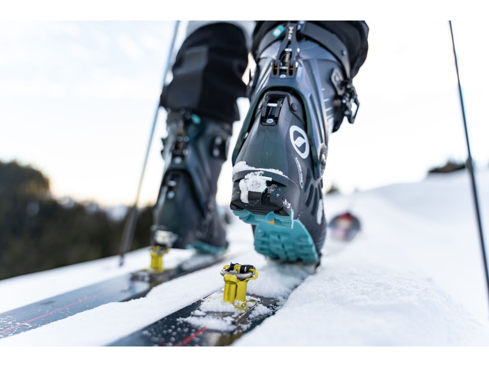 Scarpa F1 W's