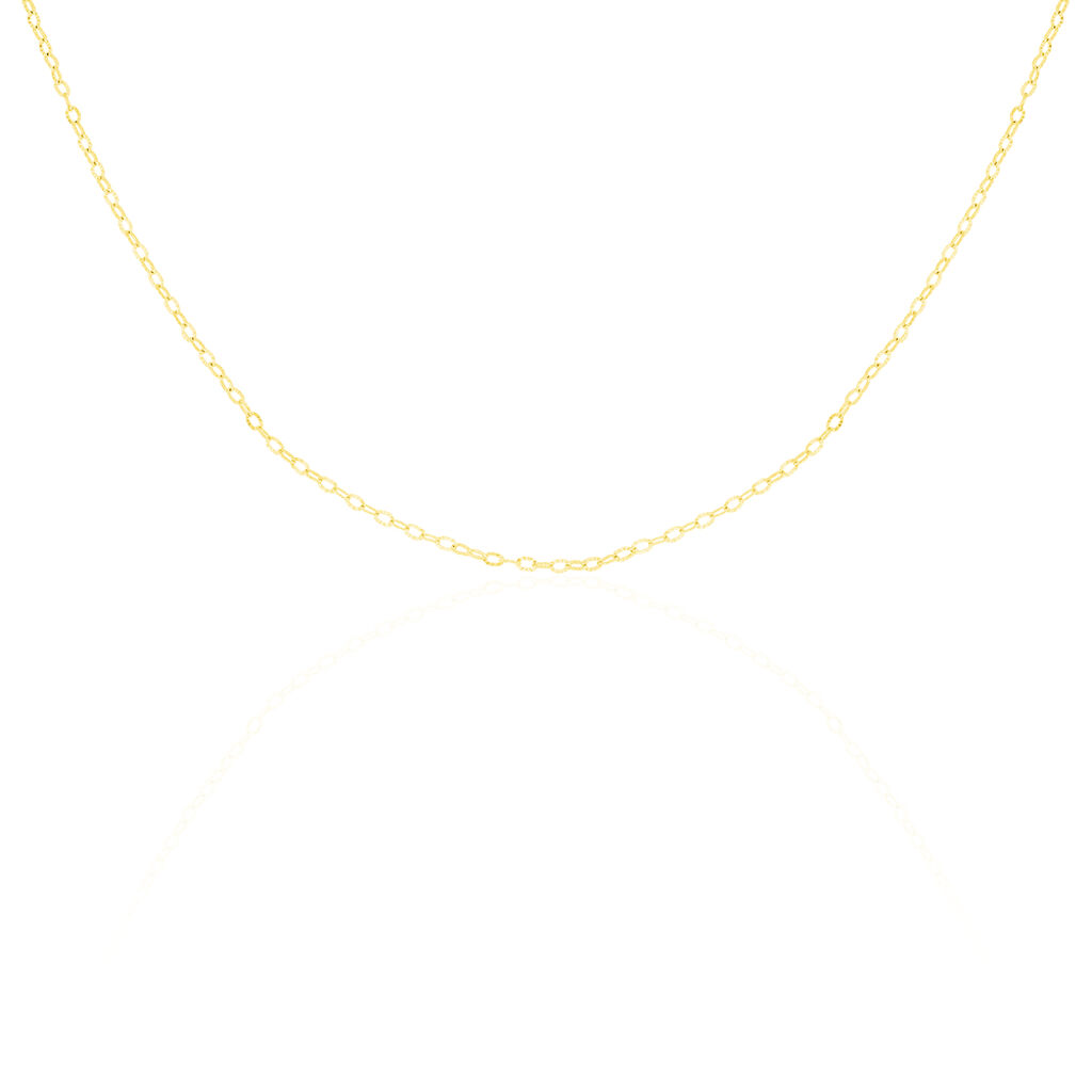 Chaîne Forçat Or Jaune