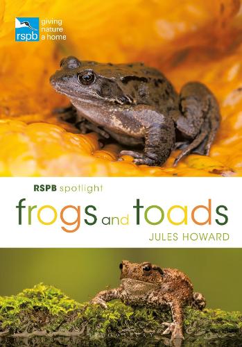 RSPB Spotlight Frogs and Toads - RSPB (Paperback)