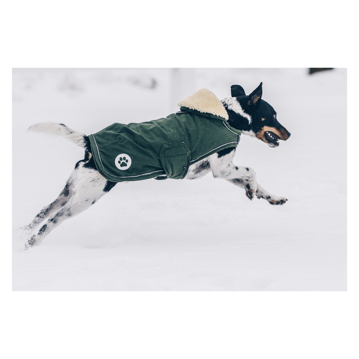 KENTUCKY DOGWEAR Hundemantel Wasserdicht - olive green