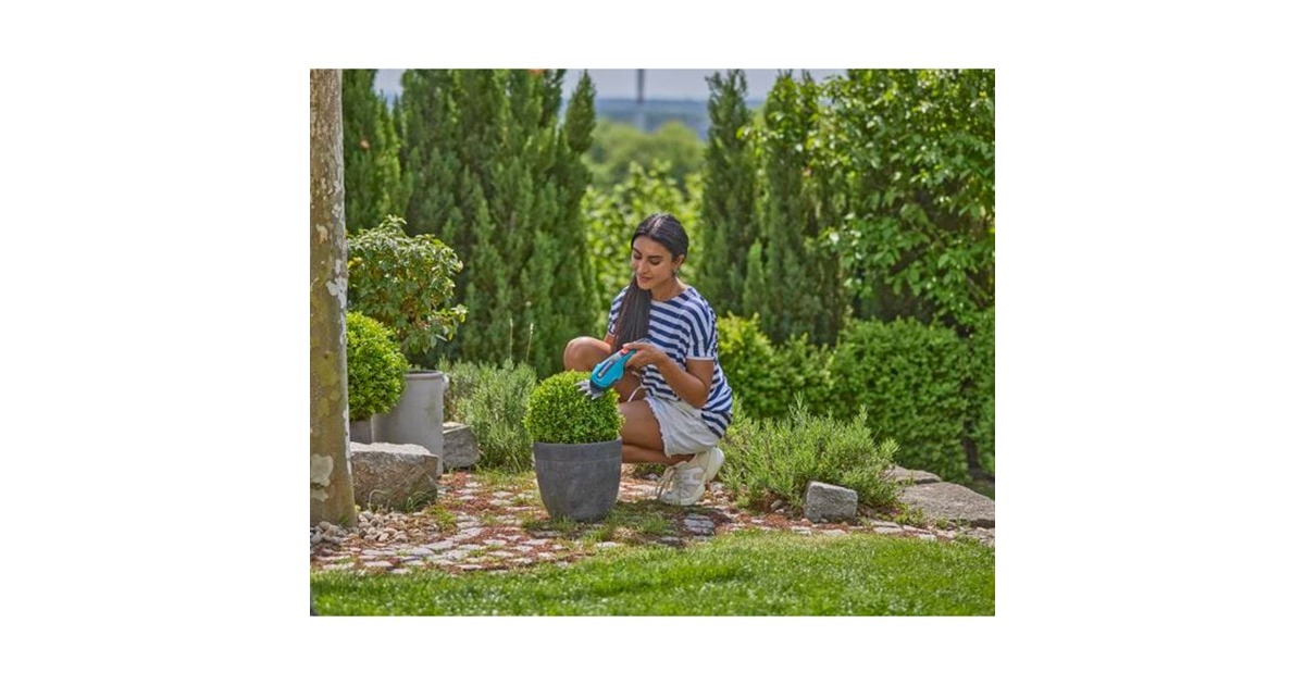 GARDENAAccu Gras- & Buxusschaar ClassicCut Li grasschaar  (Turquoise/zwart, Incl. Li-Ion-Accu 2,5Ah)