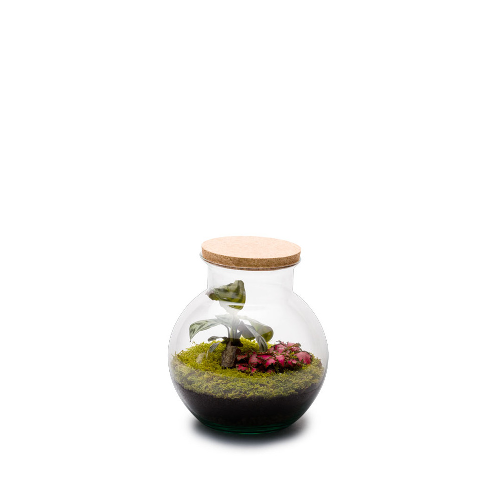 Terra kit - havana s mix