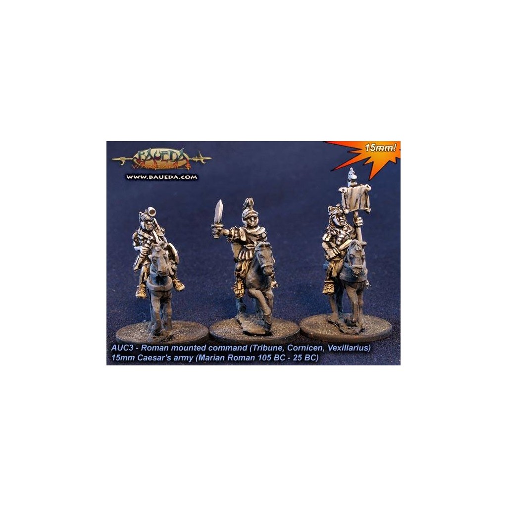 Roman mounted command