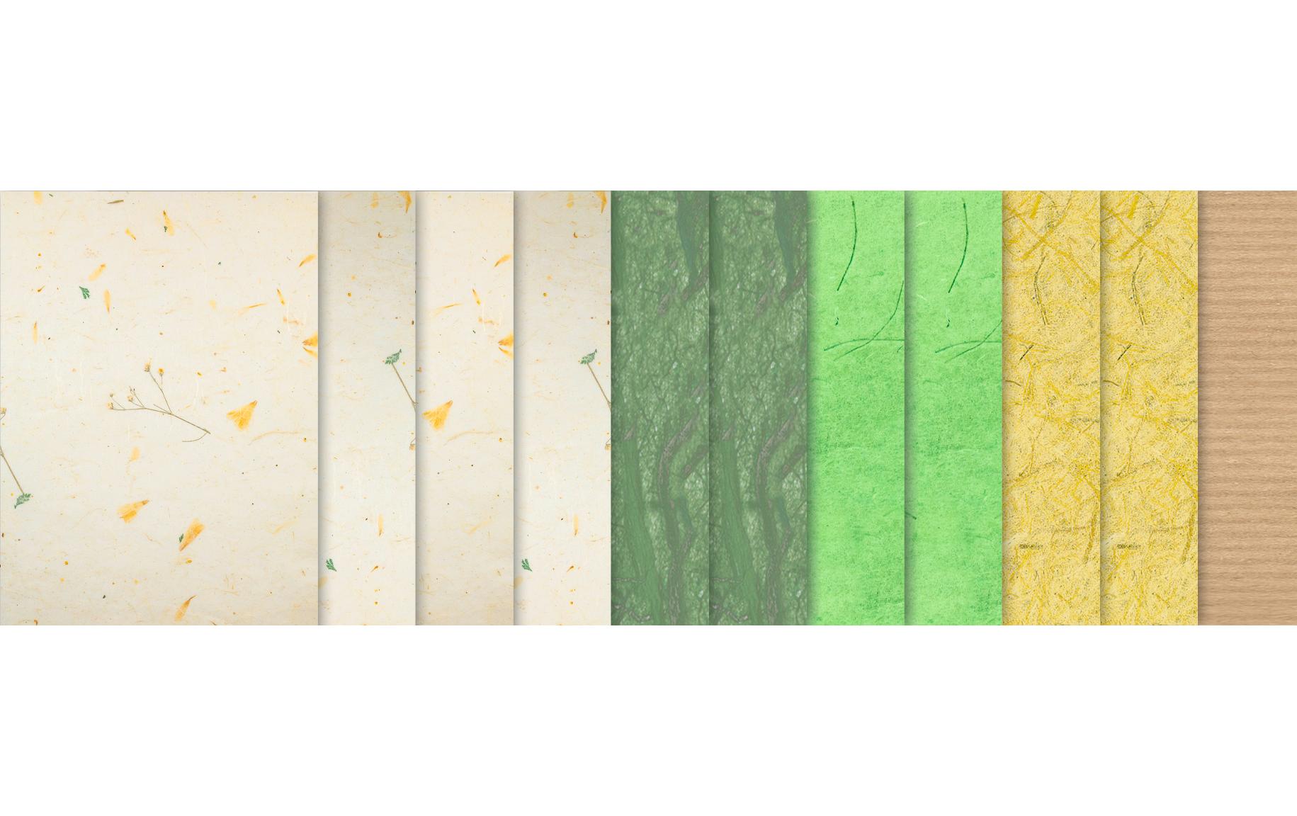 Papier-Set Natur DaisyBatselpapier