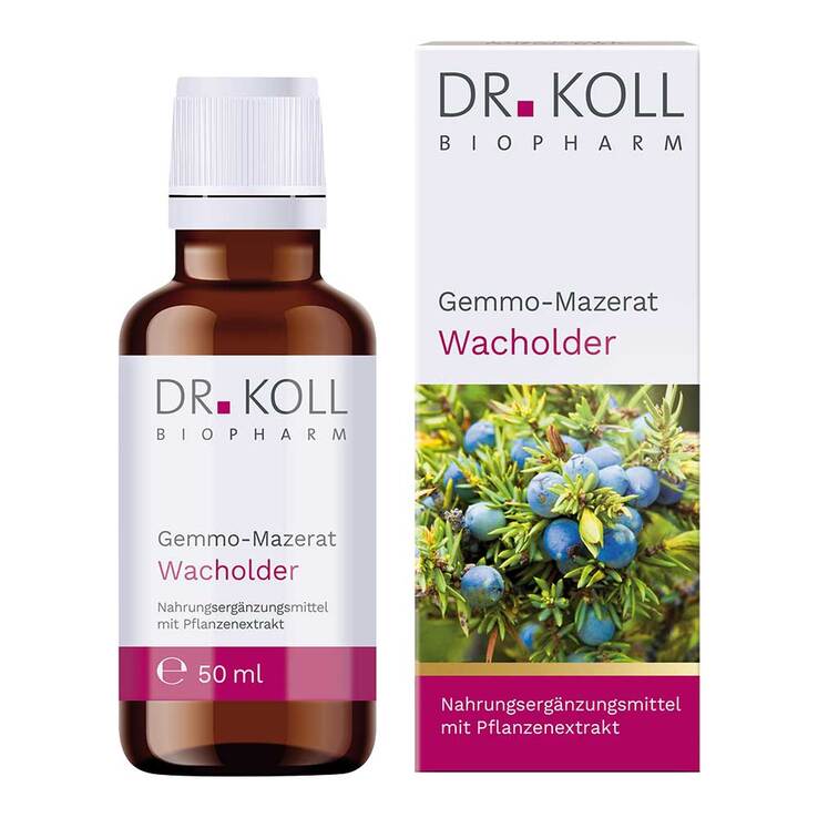 Gemmo-Mazerat Wacholder Dr. Koll Juniperus communis Tropfen, 50 ml