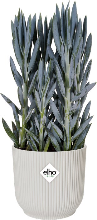 Elho bloempot Vibes wit D 34,9 H 32,4 cm