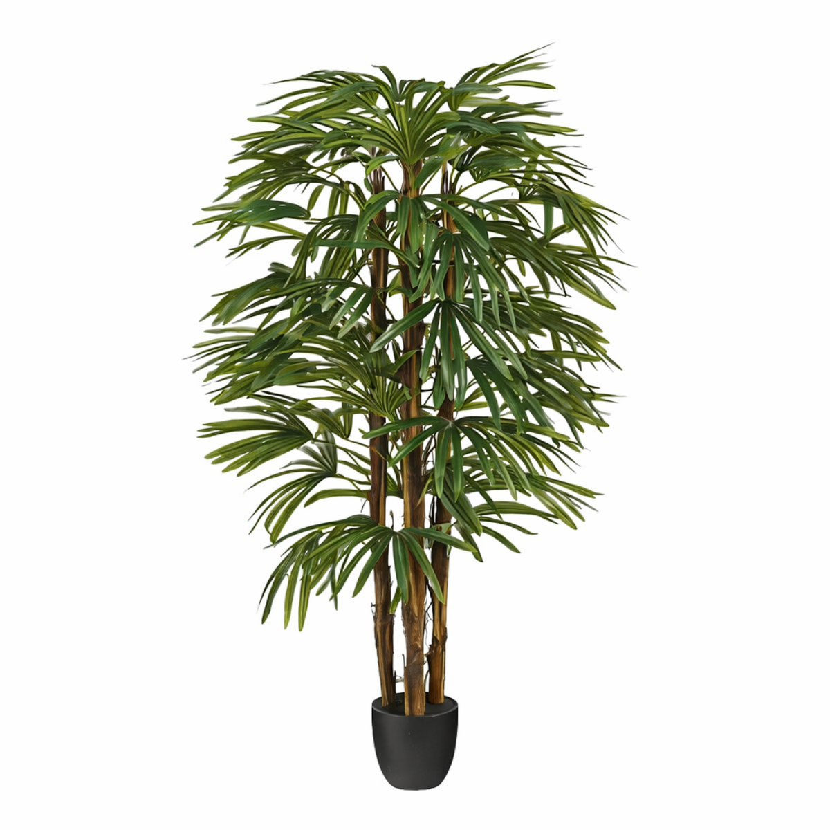 Mica Decorations Rhapispalm H150 x Ã60 cm Groen