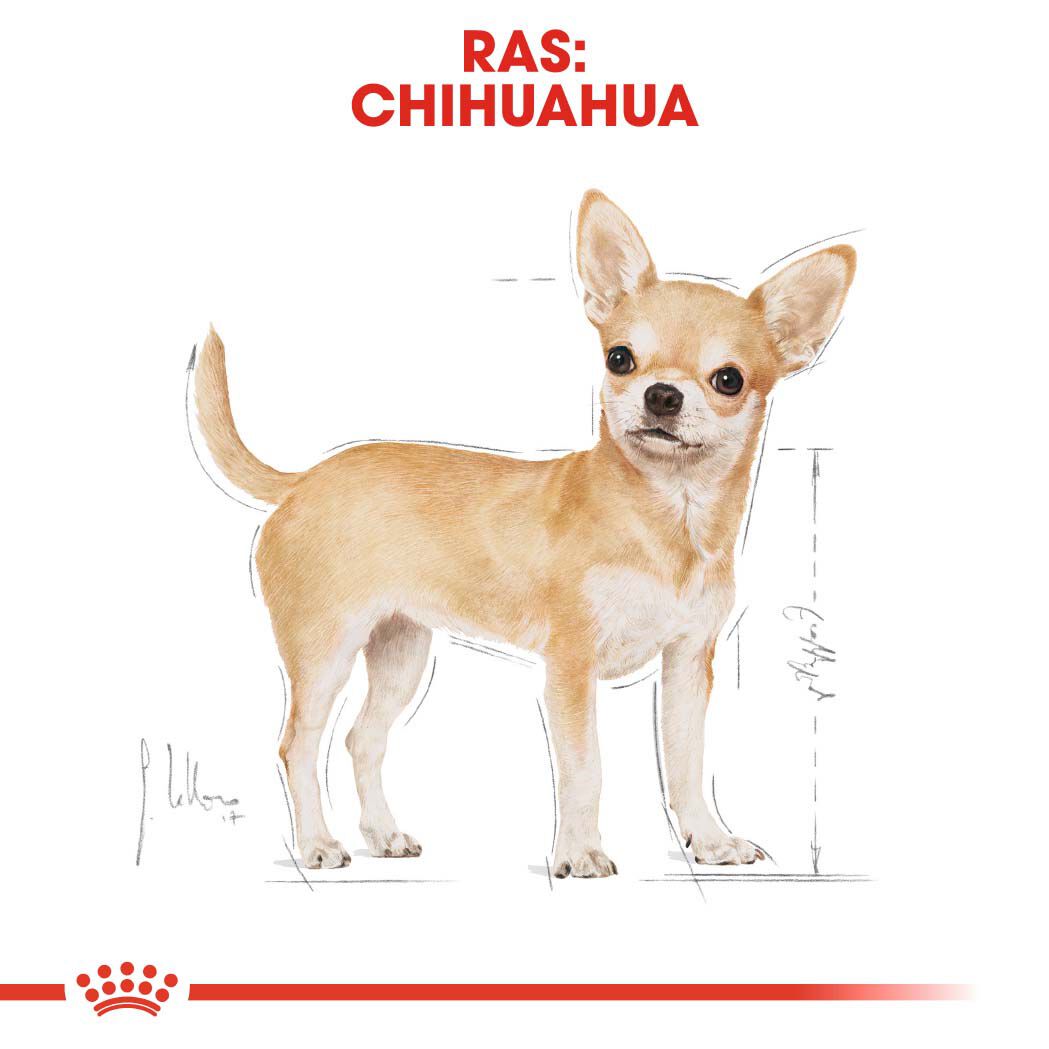 Royal Canin Chihuahua Adult - Hondenvoer - 500 Gram - gevogelte