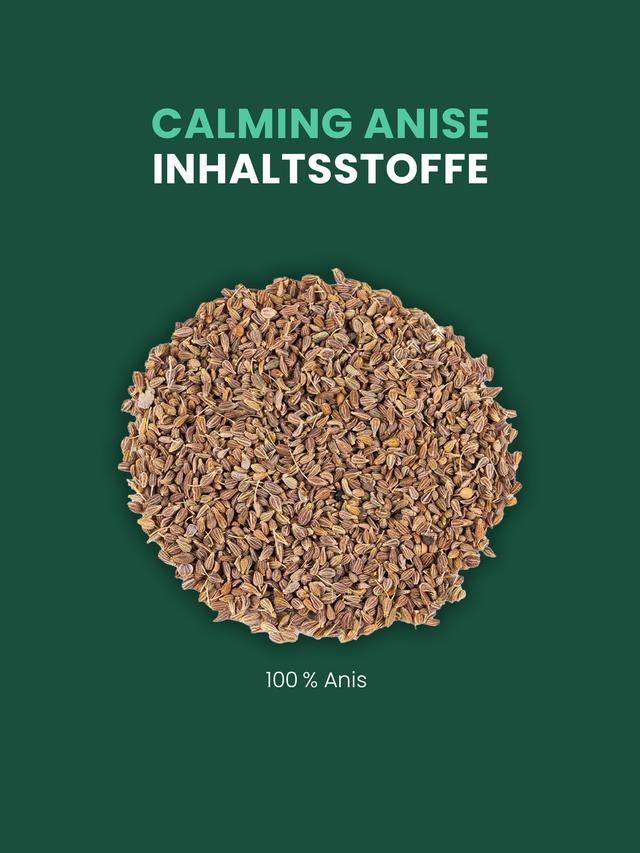 Kräutertee Anis, 3er-Set