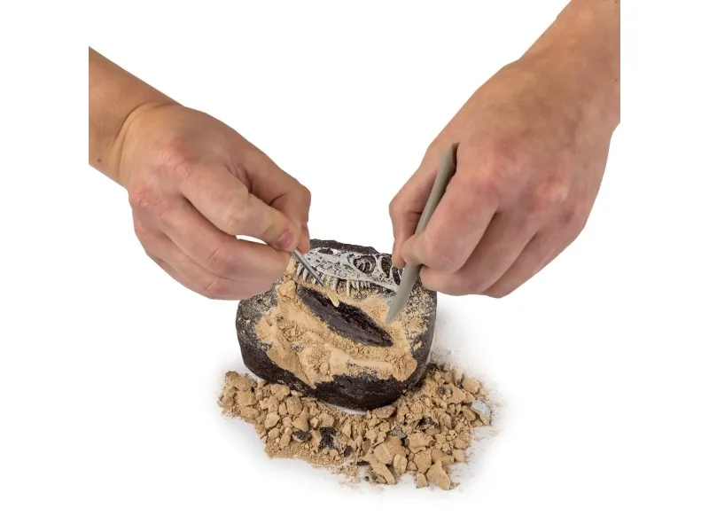 National Geographic Dinosaur Dig Kit