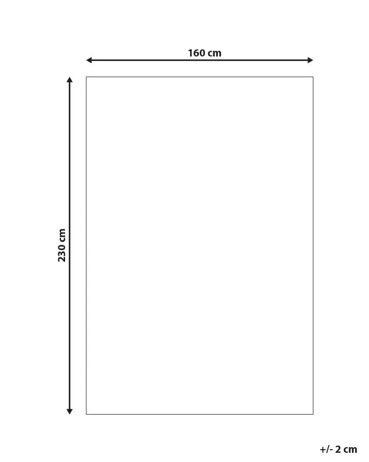 Vloerkleed EYIM Bruin 160 x 230 cm Leer
