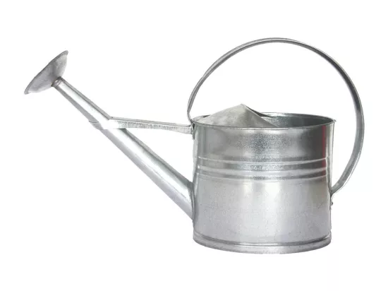 Arrosoir en zinc avec pomme d'arrosage amovible 8 litres