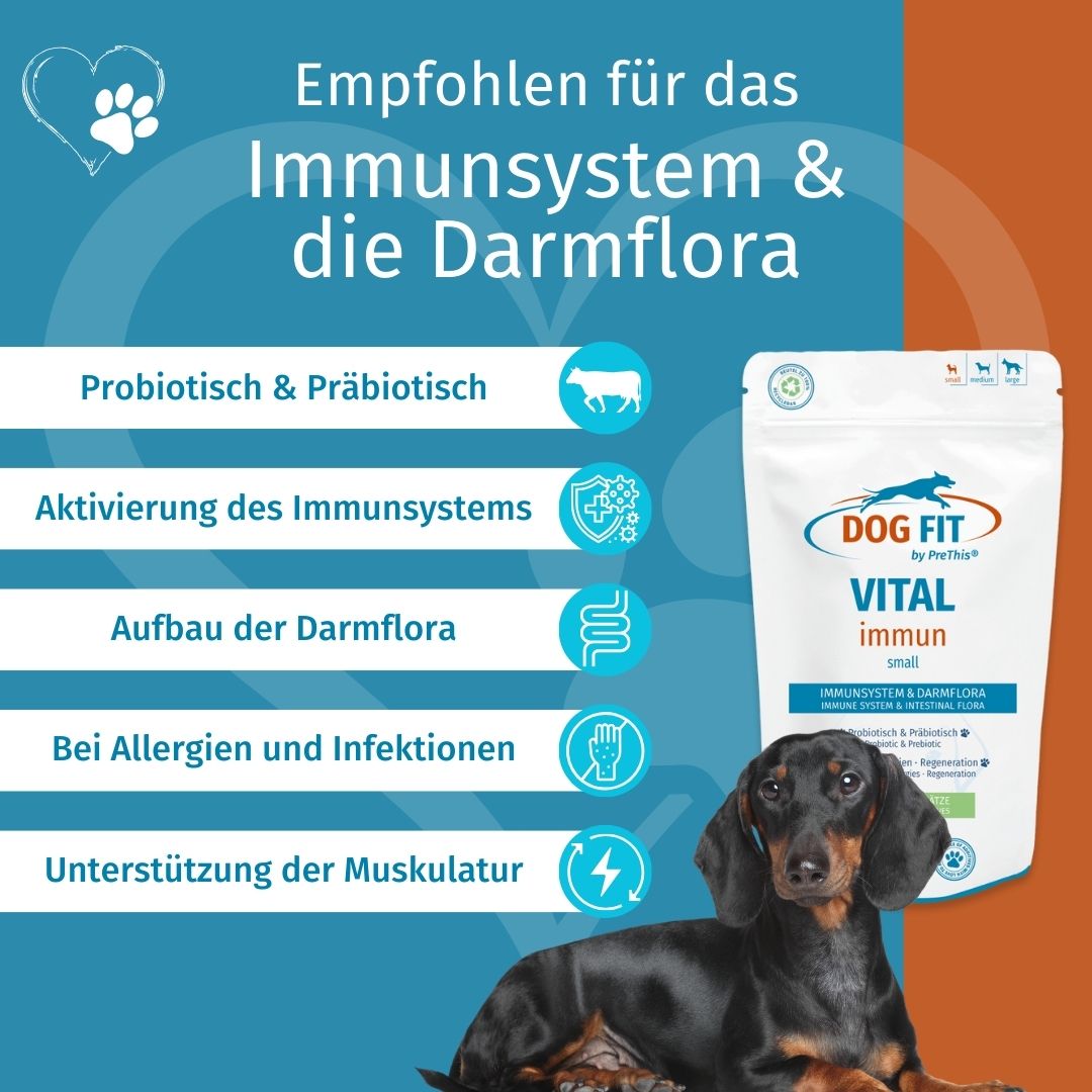 DOG FIT by PreThis® VITAL immun für Hunde » Stärkung, Darmaufbau, bei Allergien (small)