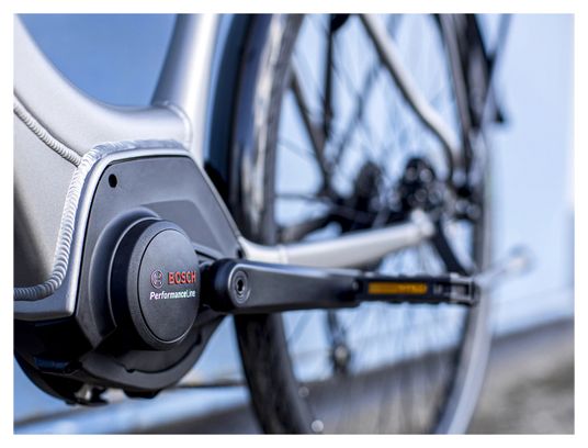 Vélo de Ville Électrique Trek Verve  2 Lowstep Bosch 400Wh Shimano Altus 9V Matte Gunmetal