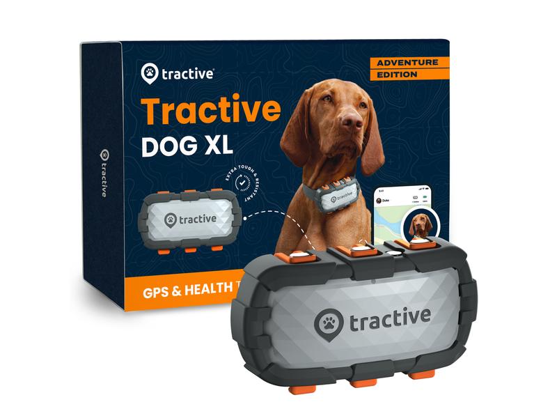 tractive GPS-Tracker DOG XL Adventure Edition, Grau GPS Tracker für grosse Hunde
