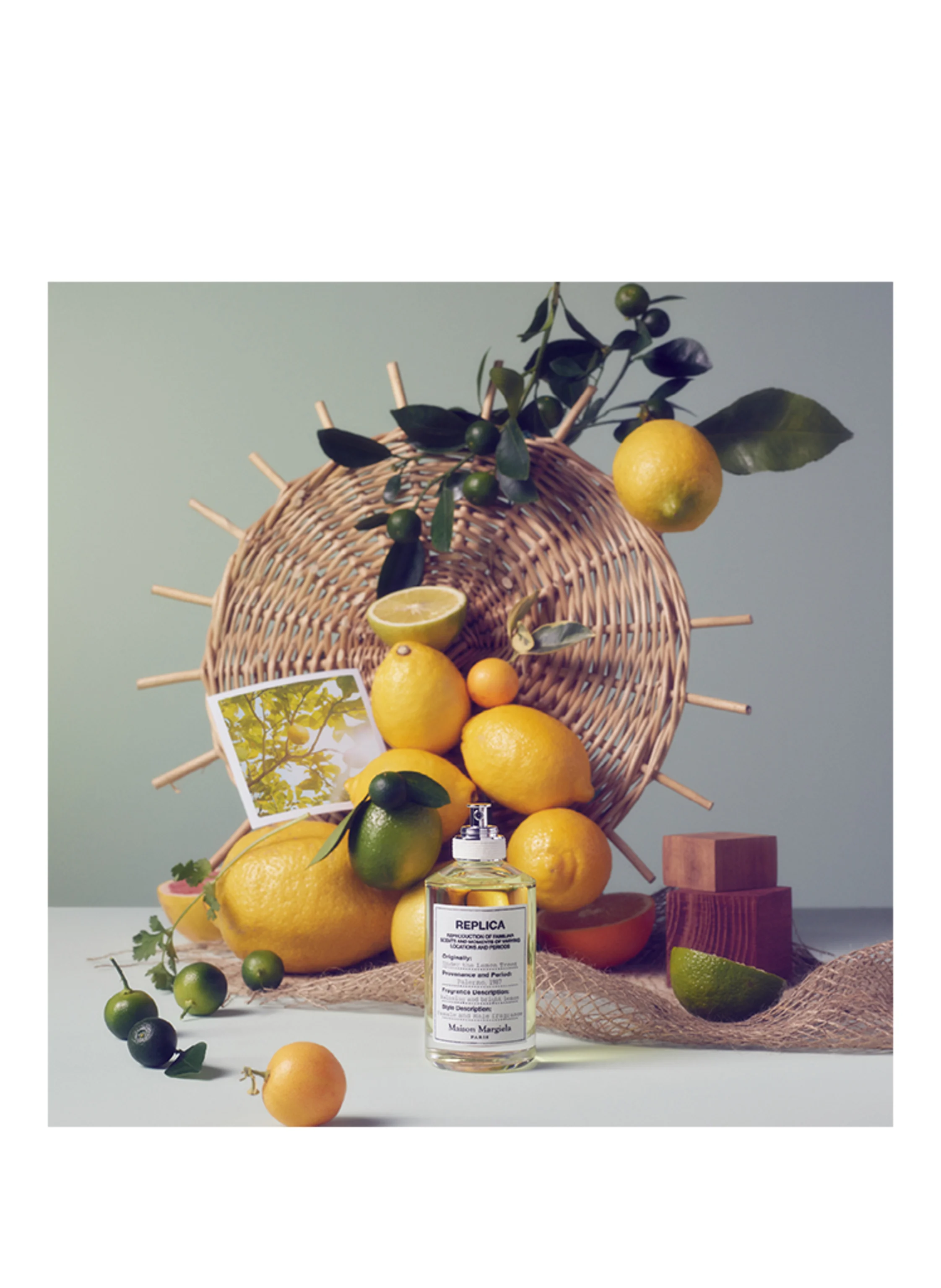 Maison Margiela Fragrances UNDER THE LEMON TREES