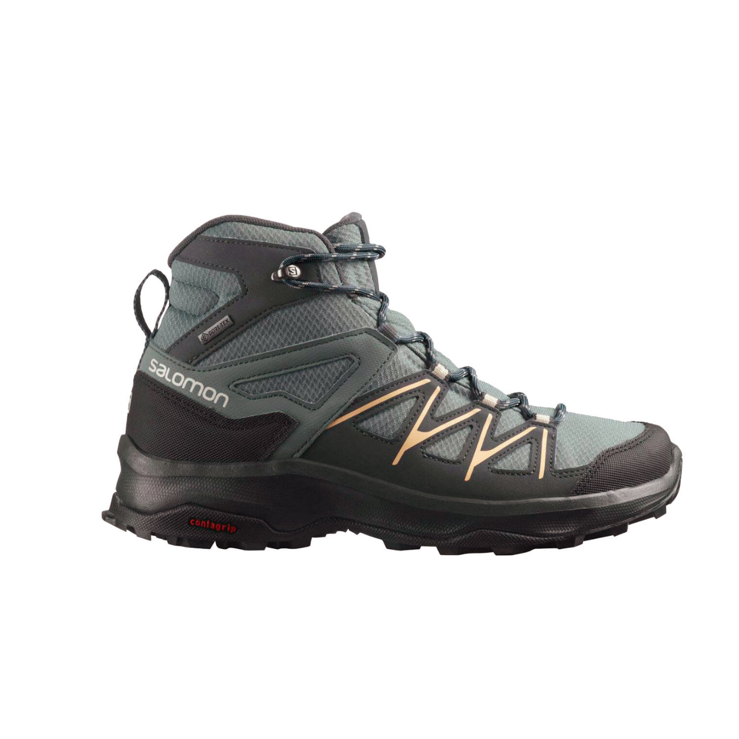 Salomon Daintree Mid GTX Outdoor- und Wanderschuh für Damen