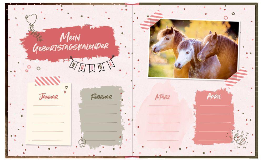 Freundebuch –  I LOVE HORSES - Beste Freunde mit Geburtstagskalender