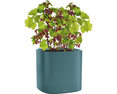 Lechuza Pila Colour 35 petroleumblauwe plantenbak