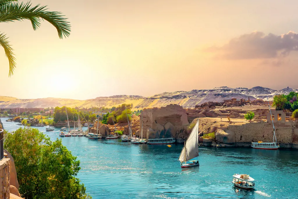 Nijlcruise 5* & Seagull Resort 4* Zie beschrijving