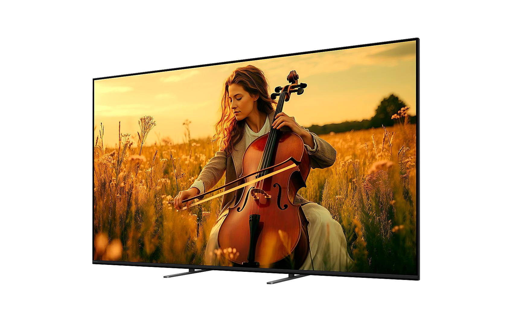 TV Bravia 5 K-65XR5 65