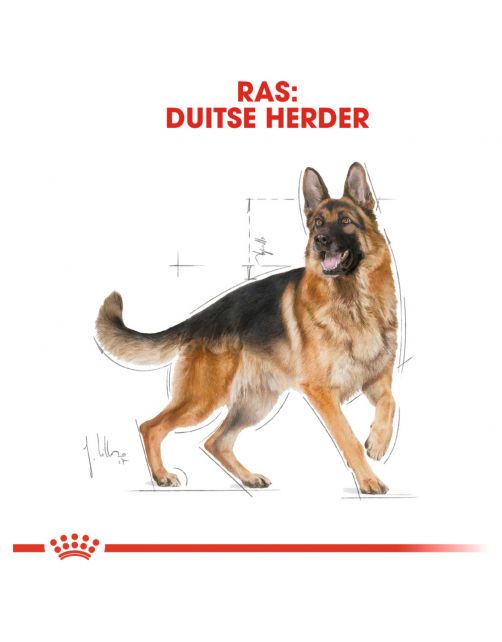 Royal Canin German Shepherd Adult - Hondenvoer