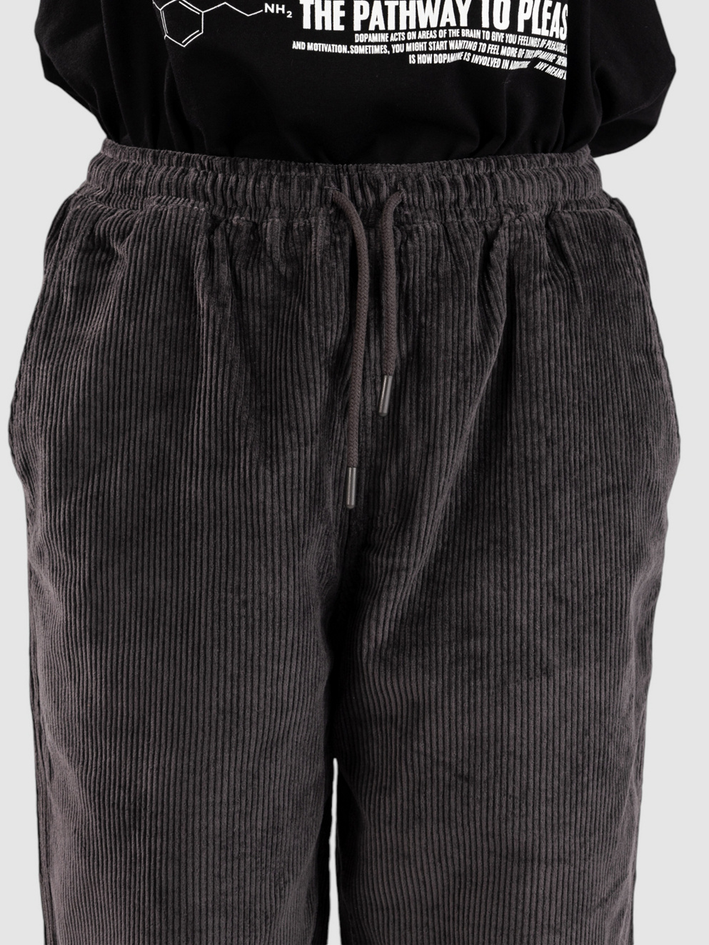 Blue Tomato Cord Relaxed Pants grey