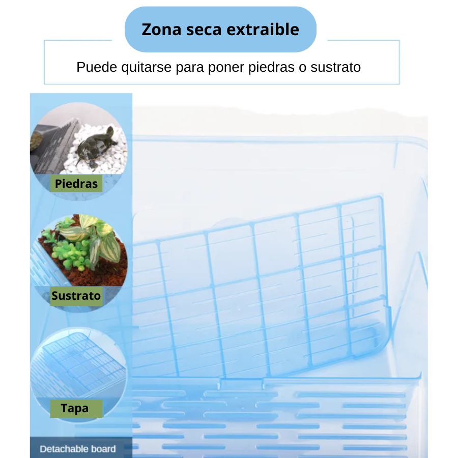 Santuário de tartarugas com área seca