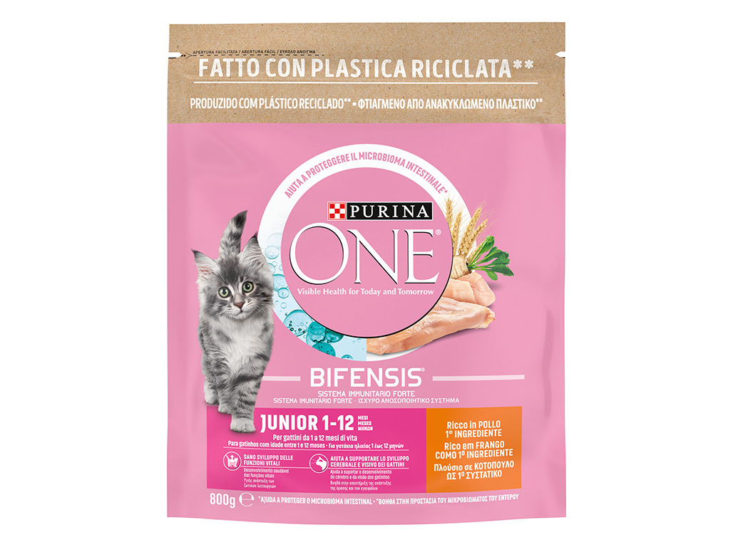 RAÇÃO PARA GATO PURINA ONE JÚNIOR COM FRANGO E ARROZ 800G