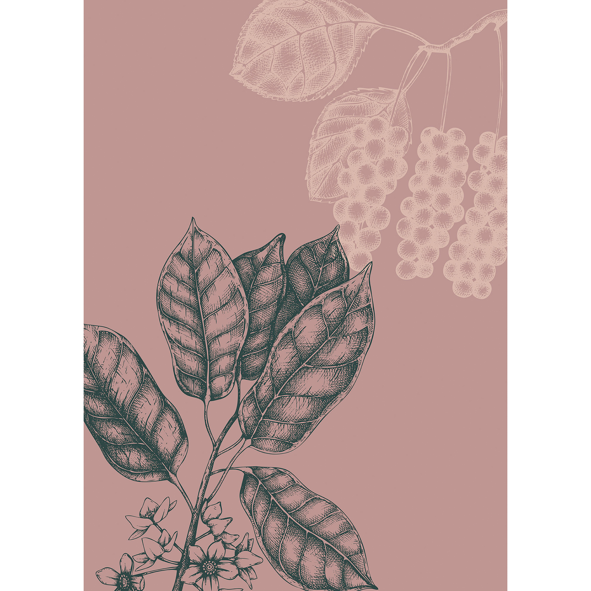 Wandbild WILD BERRY - 50x70 cm