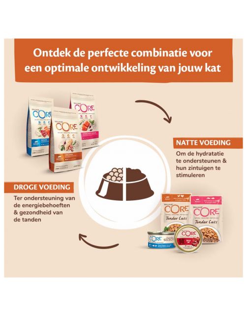 Wellness Core 98% Recipe 85 g - Kattenvoer