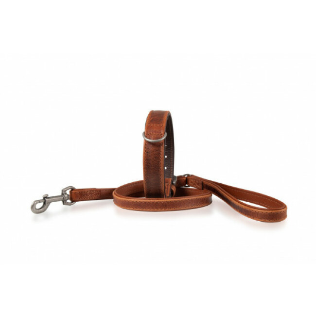 Laisse Nomad Acajou Brun