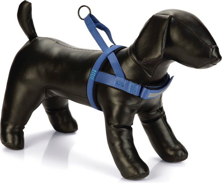 Beeztees hondentuig Parinca Premium Comfort blauw 62-74 x 2,5 cm