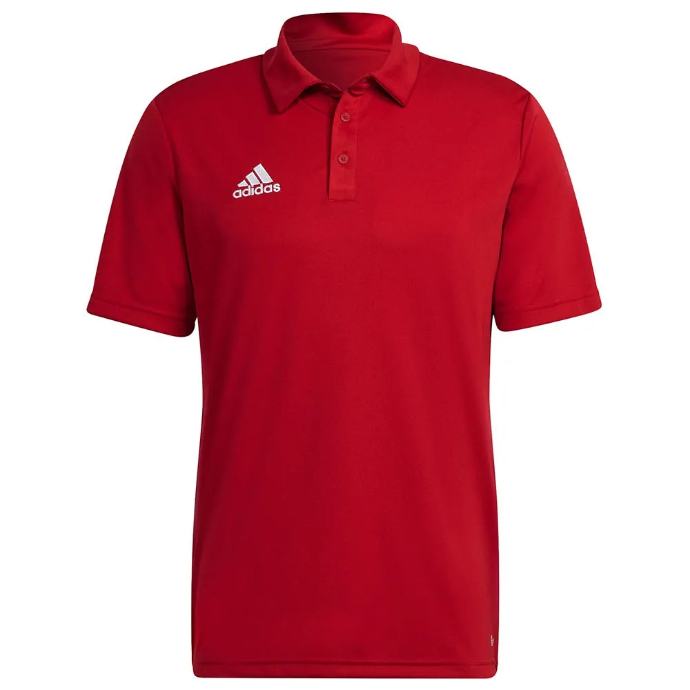 Camisa polo de manga curta adidas Entrada 22