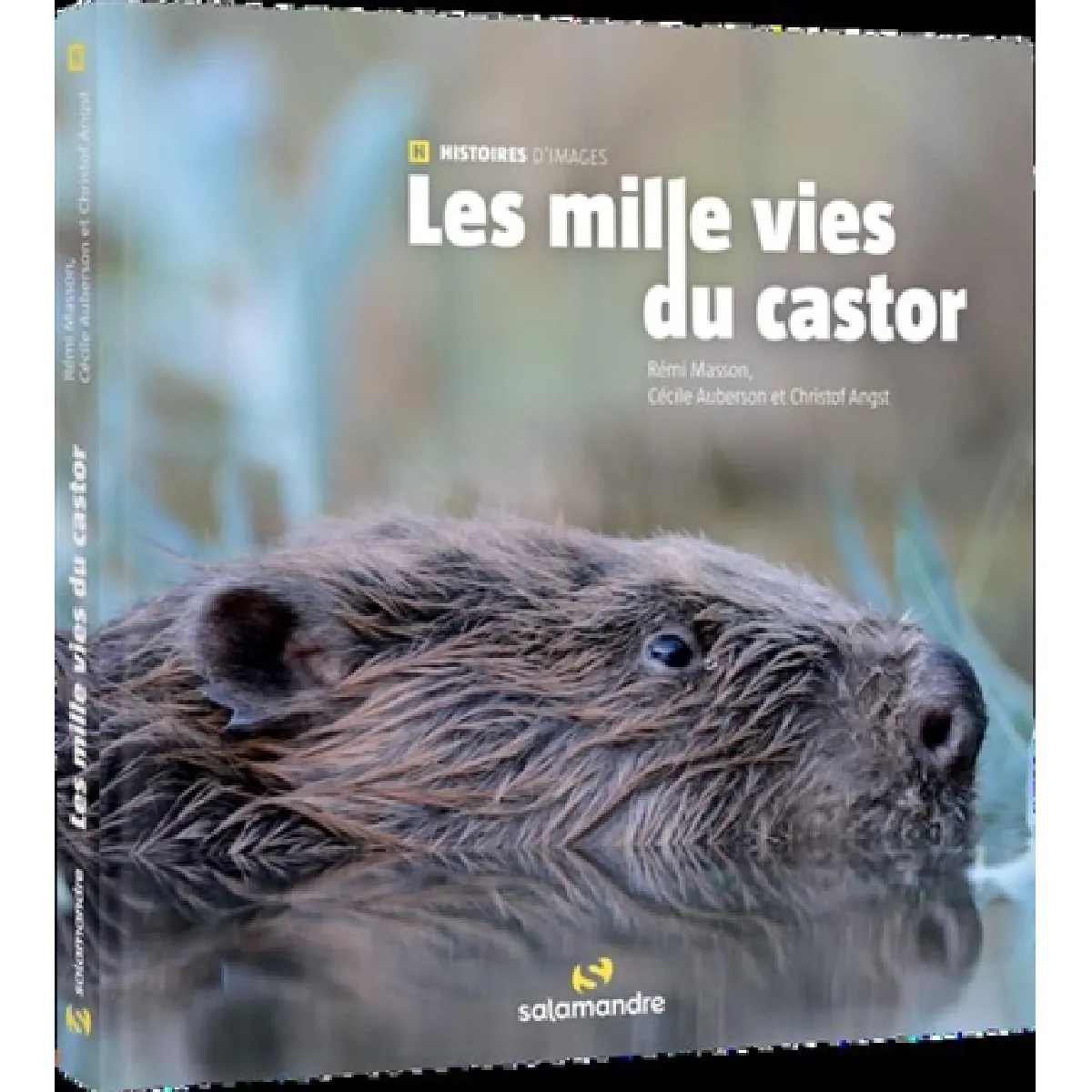 Les mille vies du castor