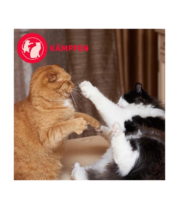 FELIWAY® Alltagshelfer Friends Start-Set