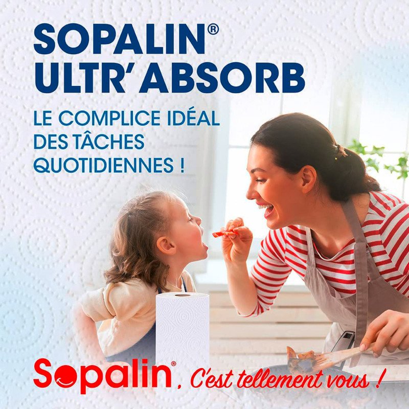 Essuie-tout Ultr'Absorb Sopalin - Paquet de 6 rouleaux = 12